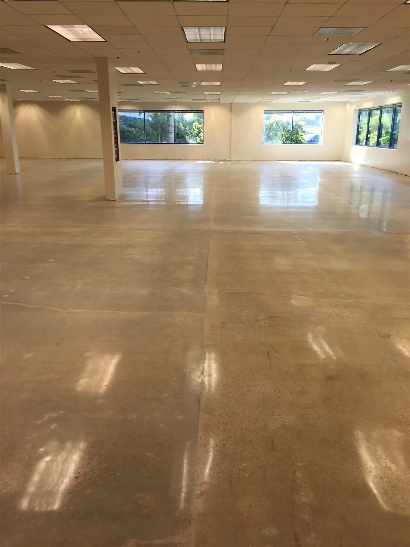 High-gloss polished concrete floor in an empty office suite