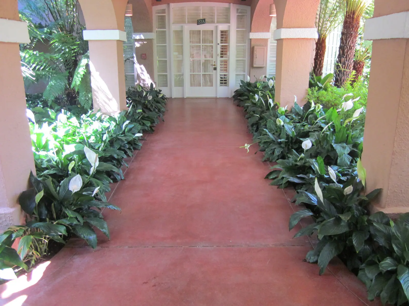 Stained concrete walkway at the Beverly Hills Hotel